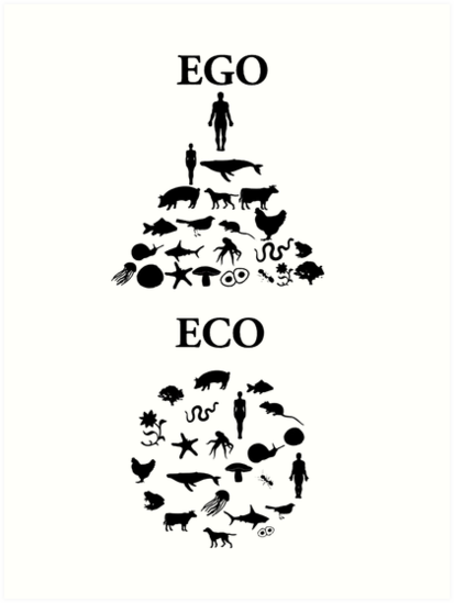 Mature and eco logic mug