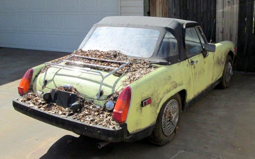 Trunk recomended Mg midget value