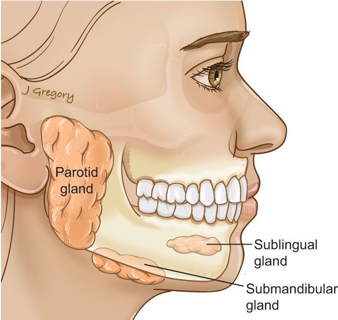 Snow C. reccomend Neck and facial glands