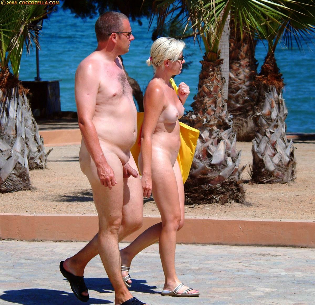Professor reccomend Nude at vera beach