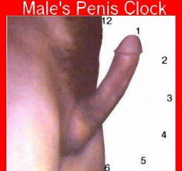 Penetration of vagina by hard penis