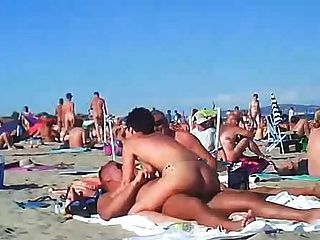 Sex beach group orgy