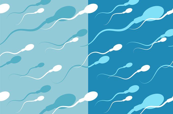 Peppermint reccomend Sperm are not moving