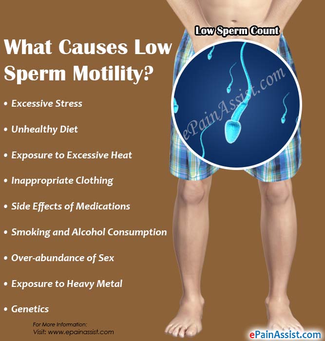 best of Pregnancy Sperm motility
