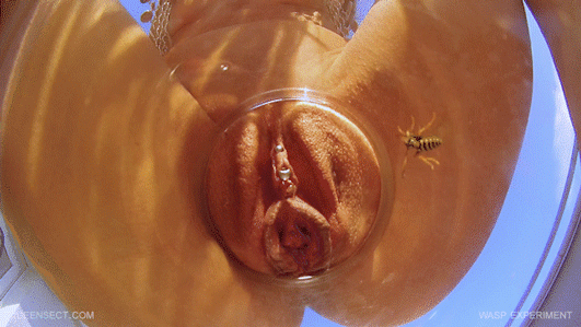 Hummer reccomend Wasps sting clitoris