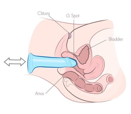 Way method technique anal pleasure masturbate
