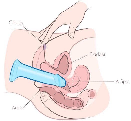 Bloomer reccomend Way method technique anal pleasure masturbate